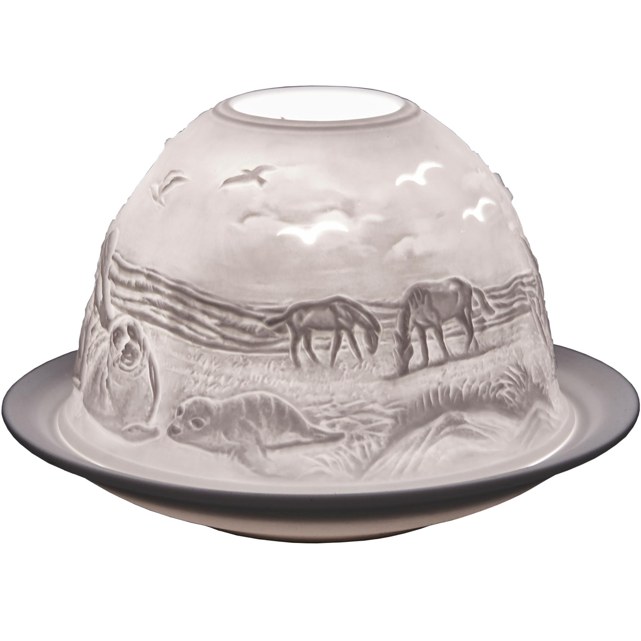 Beach Life Domelights Pack of 6