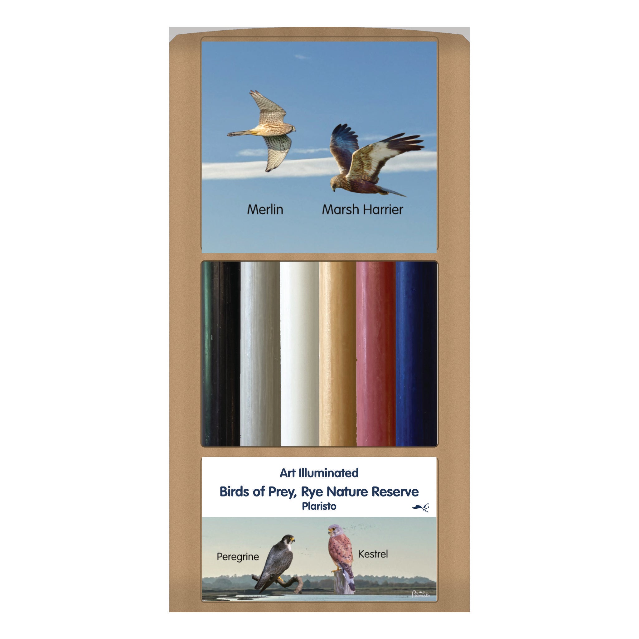 Plaristo – Rye’s Birds of Prey in the Nature Reserve – Case of 6 Dinner Candle Sets