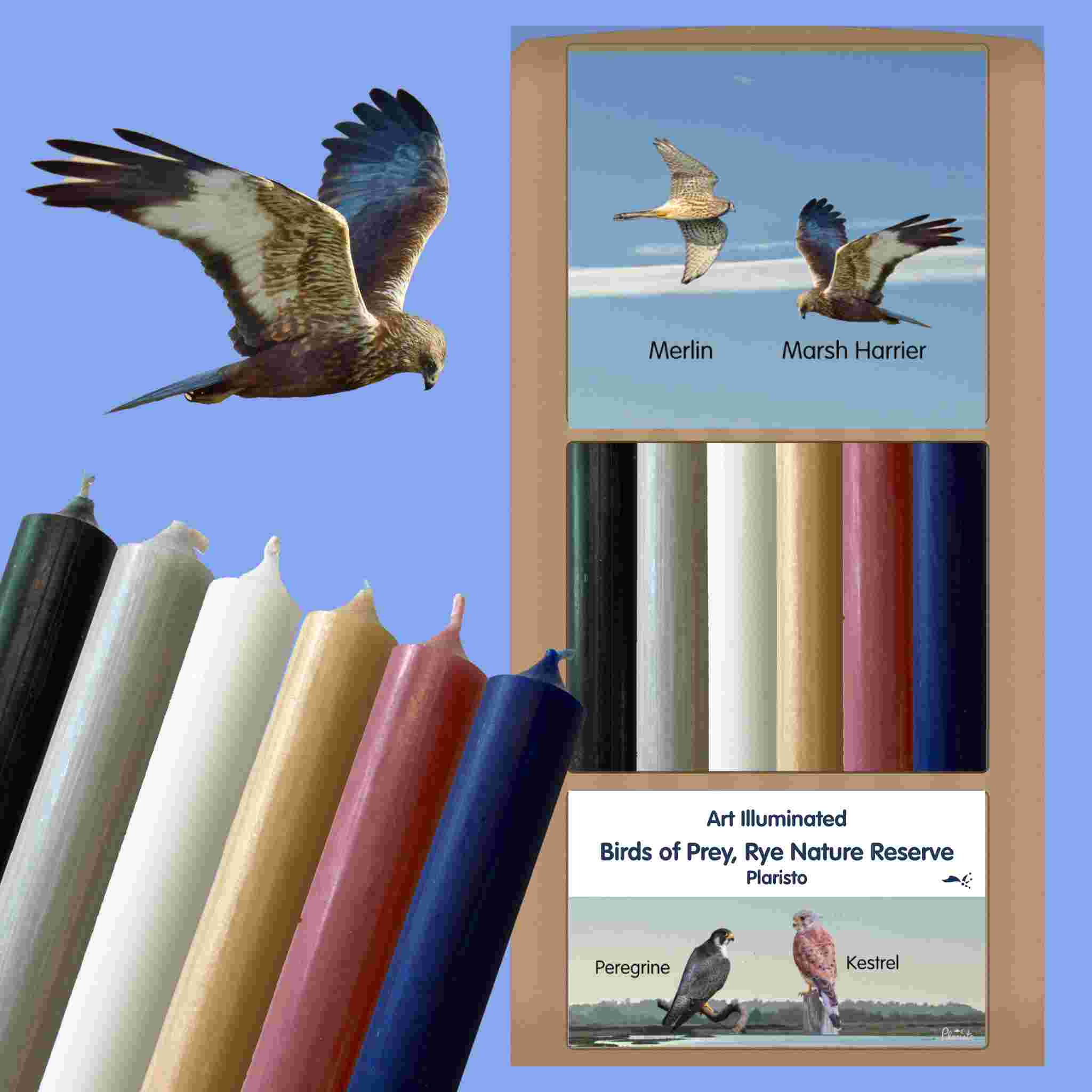 Plaristo – Rye’s Birds of Prey in the Nature Reserve – Case of 6 Dinner Candle Sets
