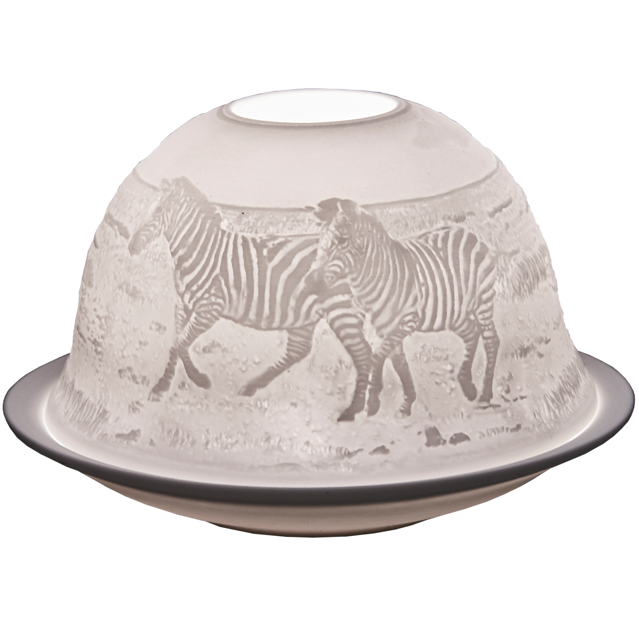 SALE Zebras Domelights Pack of 6